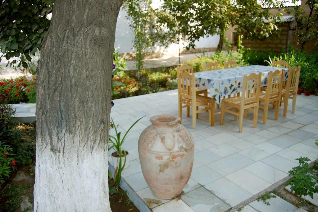Riad Nur & Tours Nurota Bagian luar foto