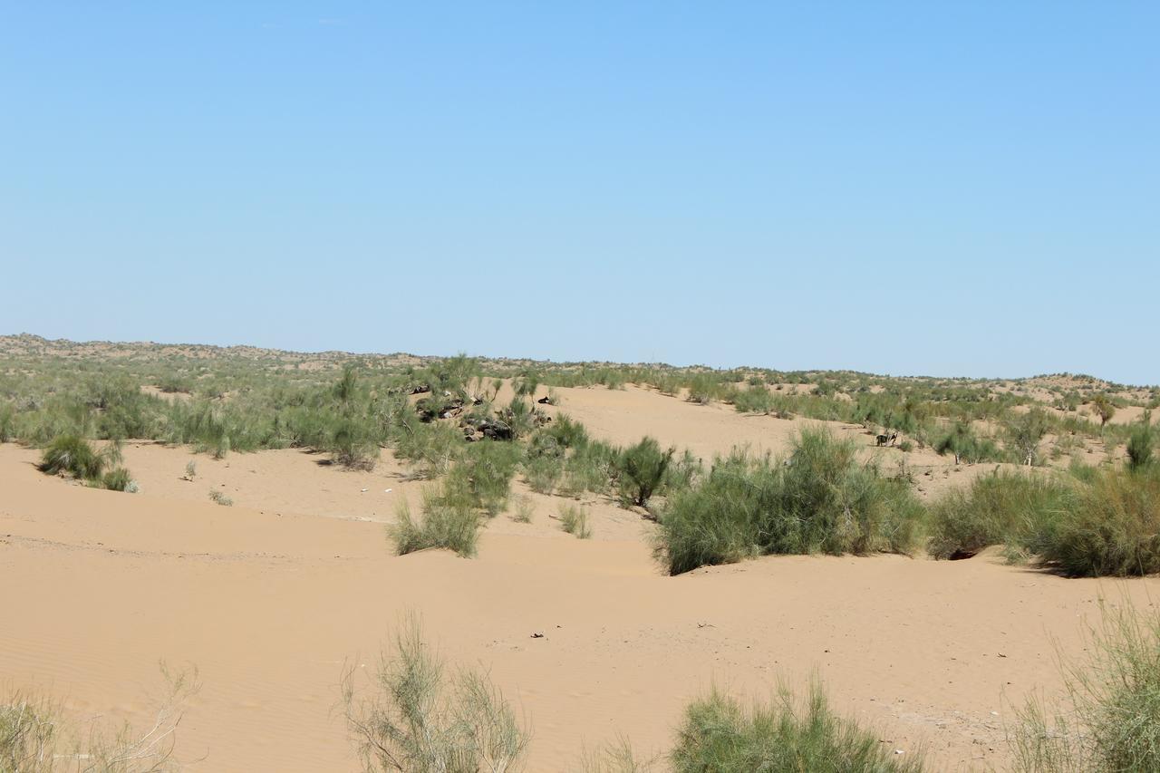 Riad Nur & Tours Nurota Bagian luar foto